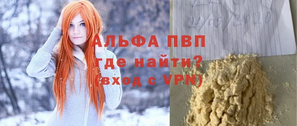 СК Инсар