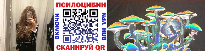 Купить  Рыльск  Псилоцибиновые грибы Cubensis 